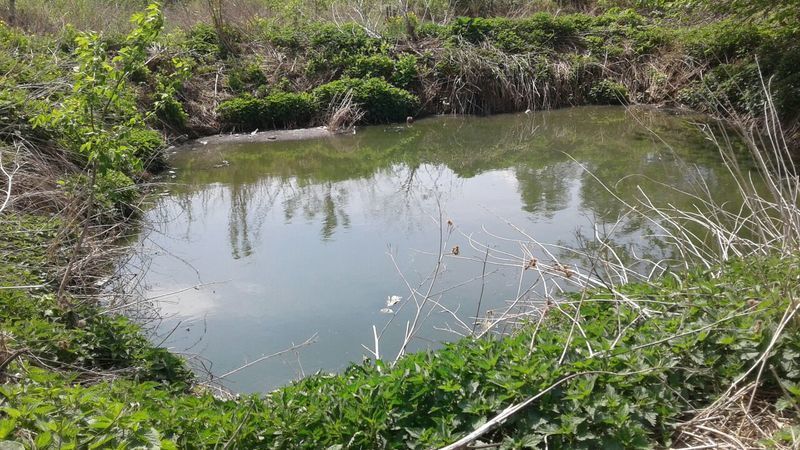 Экологи выявили факт незаконного сброса сточных вод в реку в Мензелинском районе