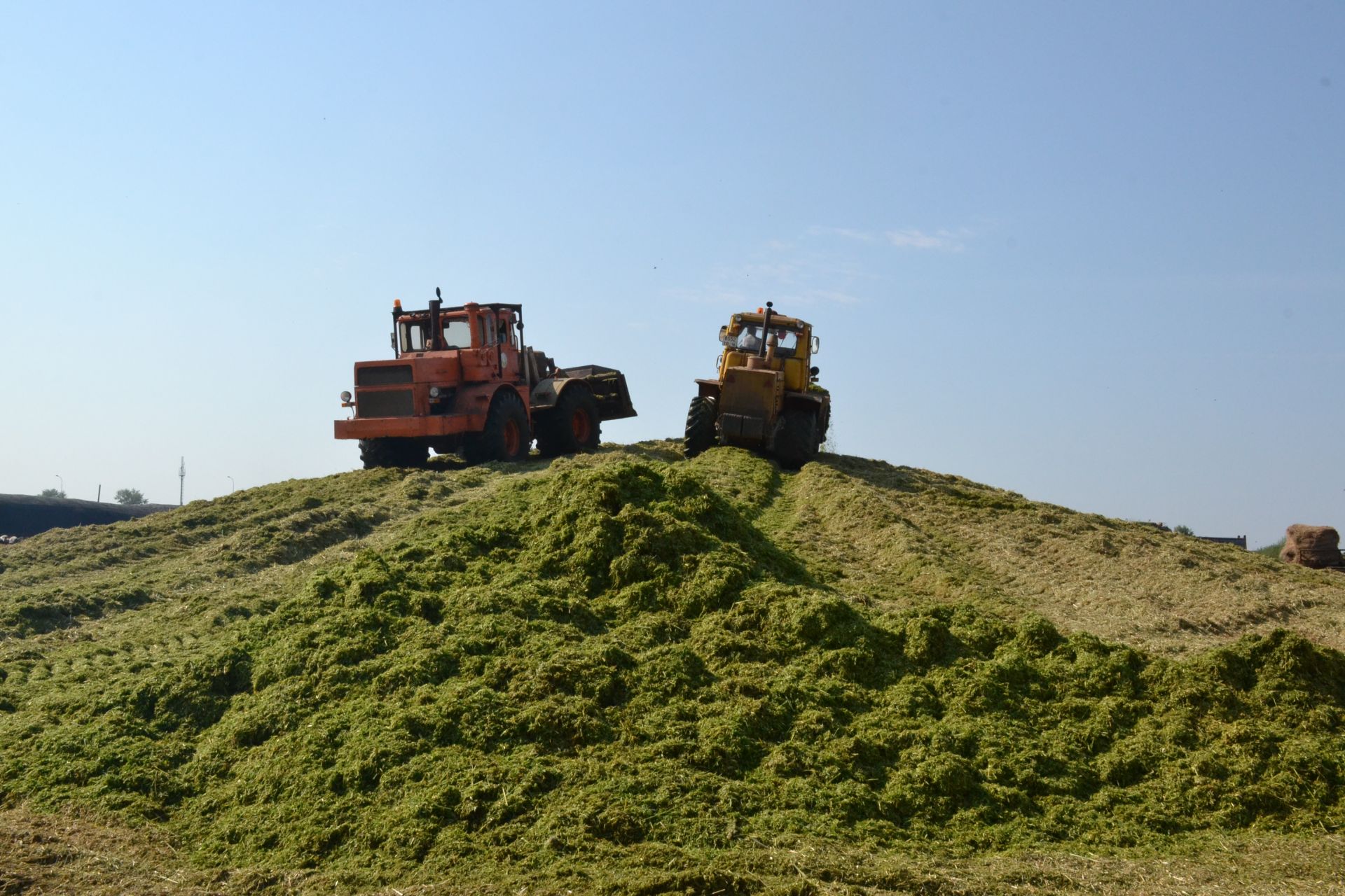 Хозяйство "Заиковский" в текущем году заложит 10 тыс. тонн сенажа