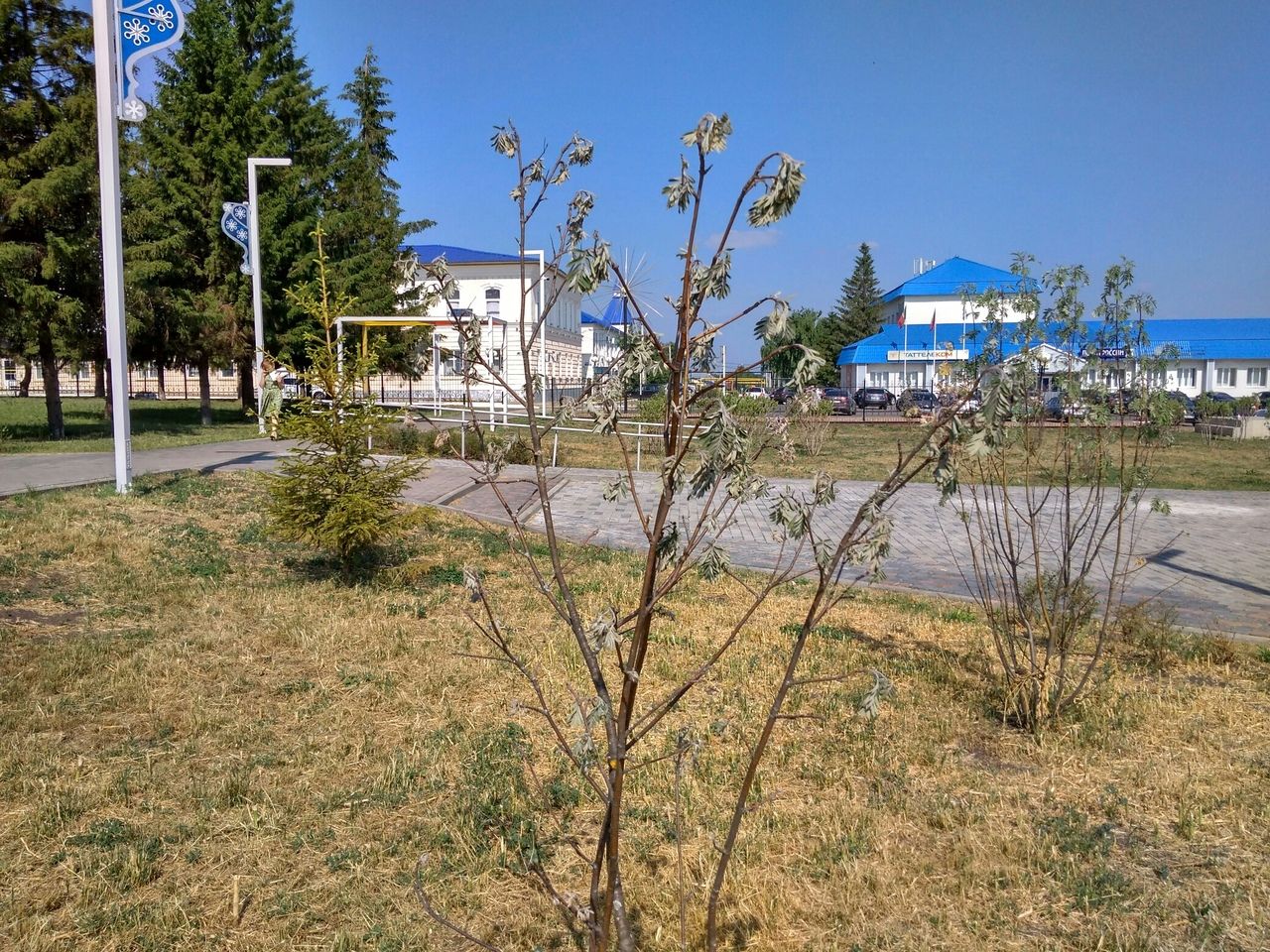 Польза и вред природы в Мензелинске