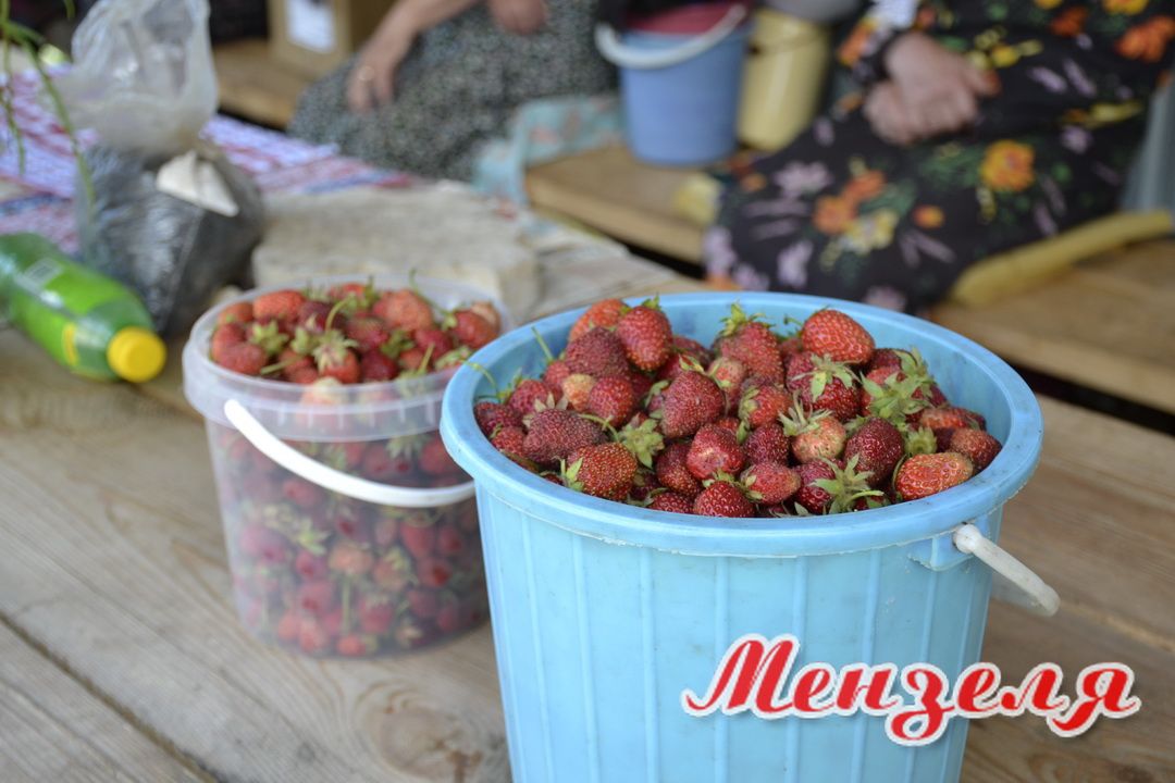 Почем ягоды на Мензелинском рынке?
