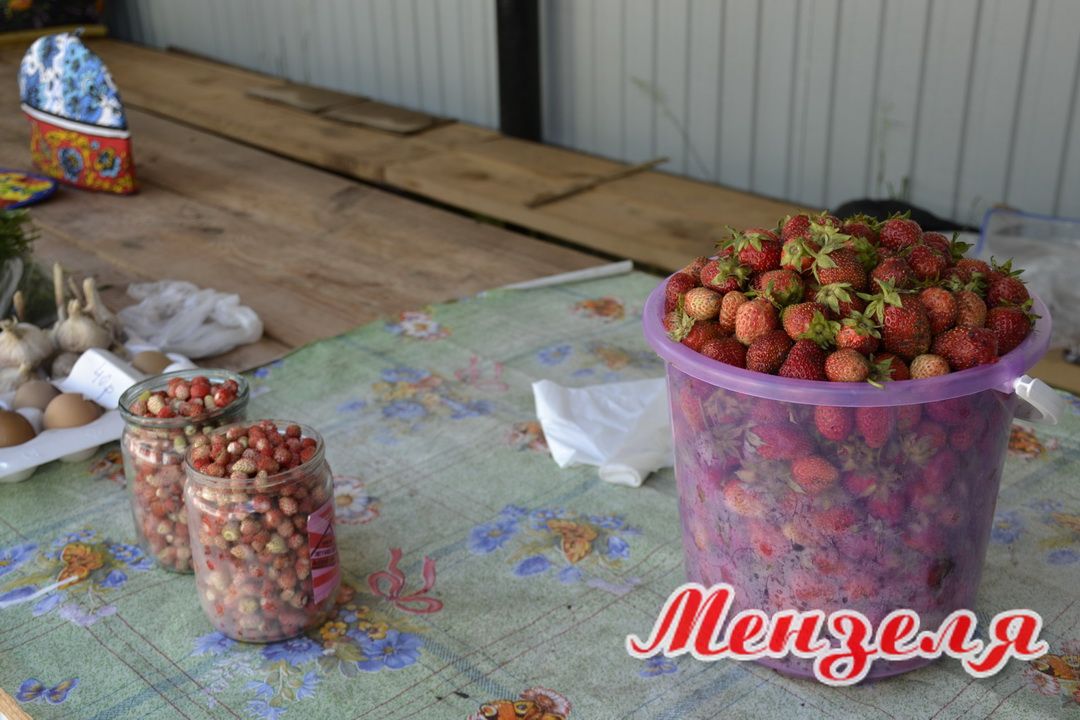 Почем ягоды на Мензелинском рынке?