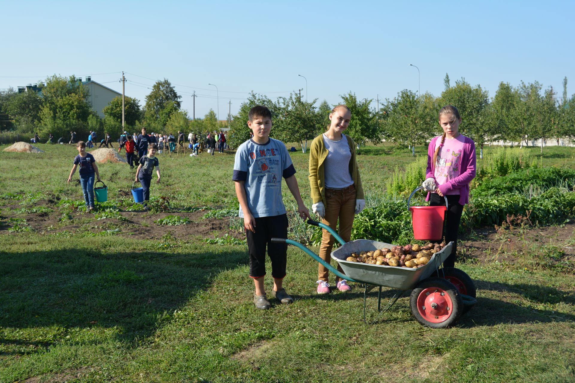 В Мензелинской школе-интернат собрали внушительный урожай картофеля