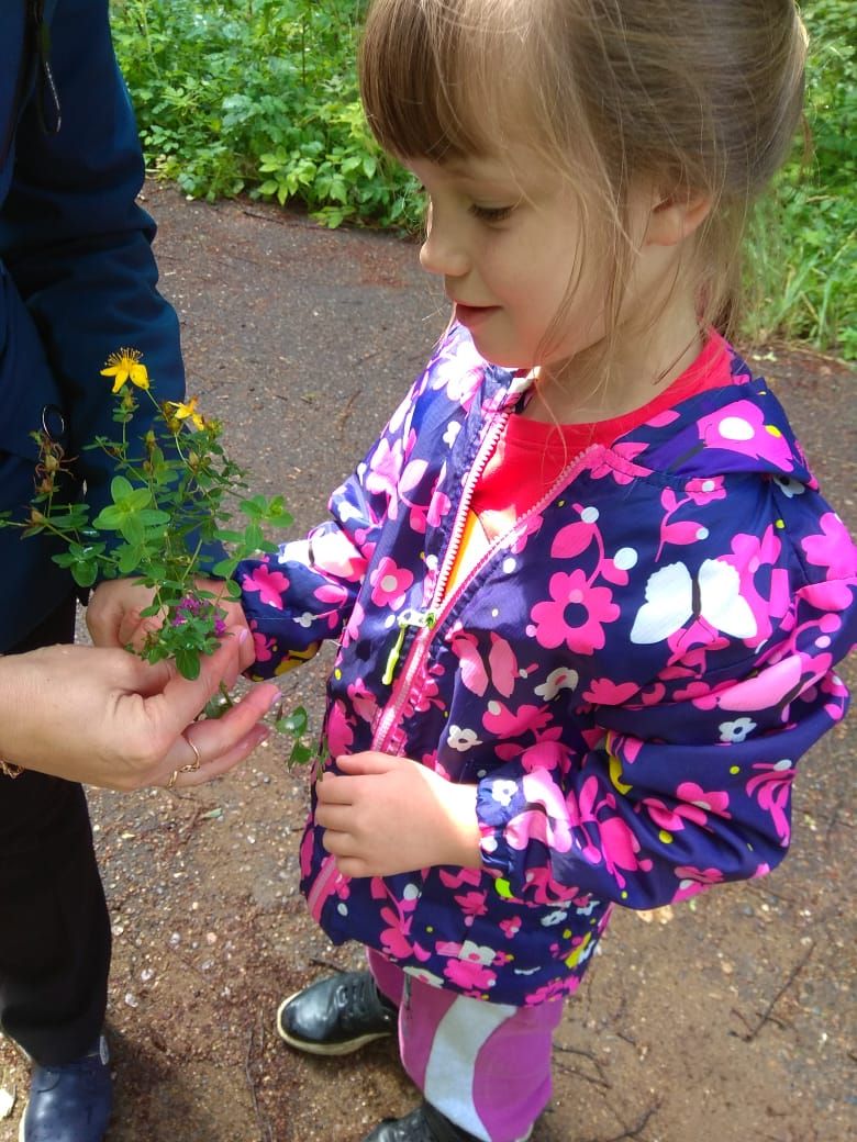 В «Умырзая» детей знакомят с удивительным миром растений