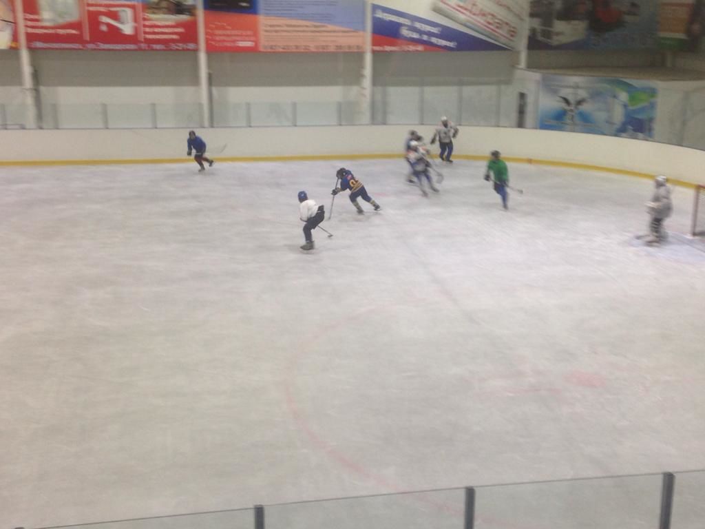 В Мензелинске команды Татарстана и Башкортостана по хоккею с шайбой показали высокое мастерство