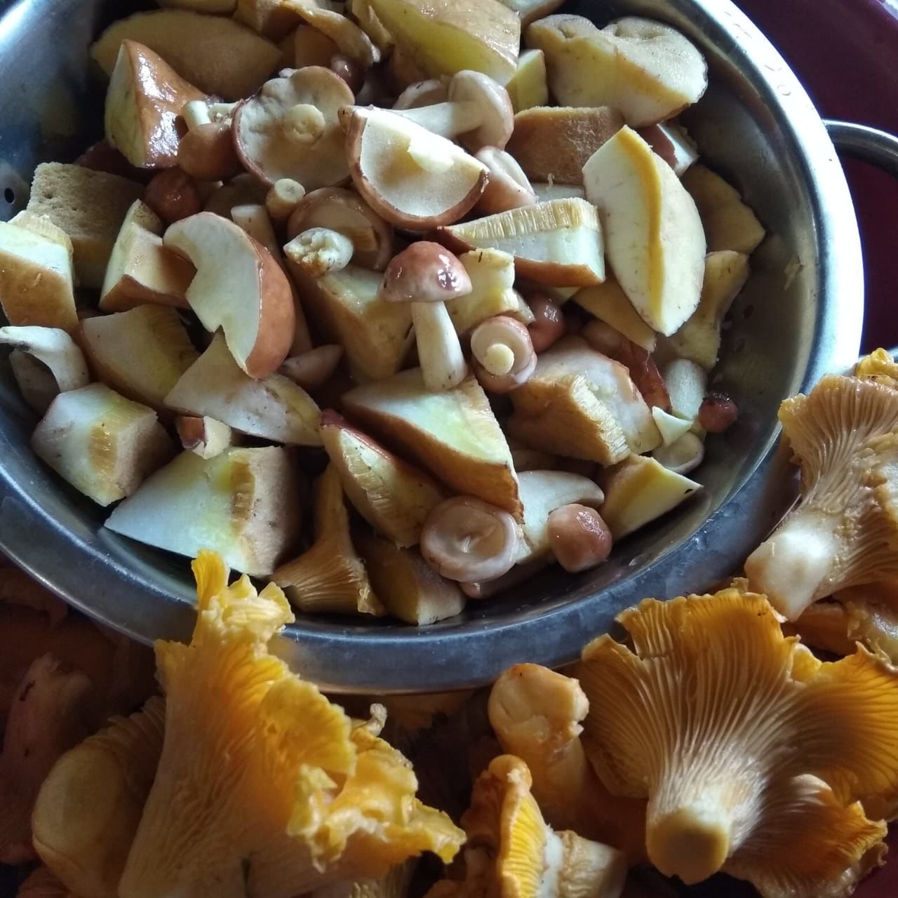 Рецепт заготовки грибов на зиму