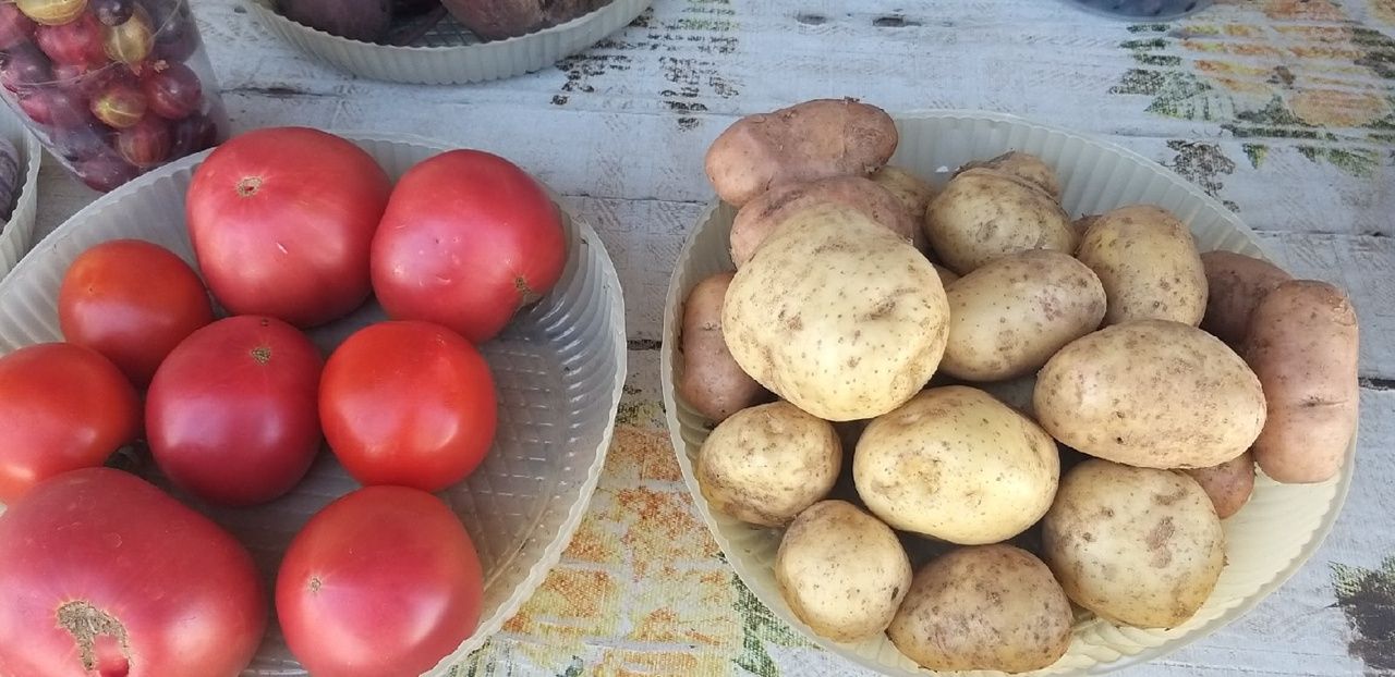 На рынке Мензелинска можно продегустировать и вареную картошку