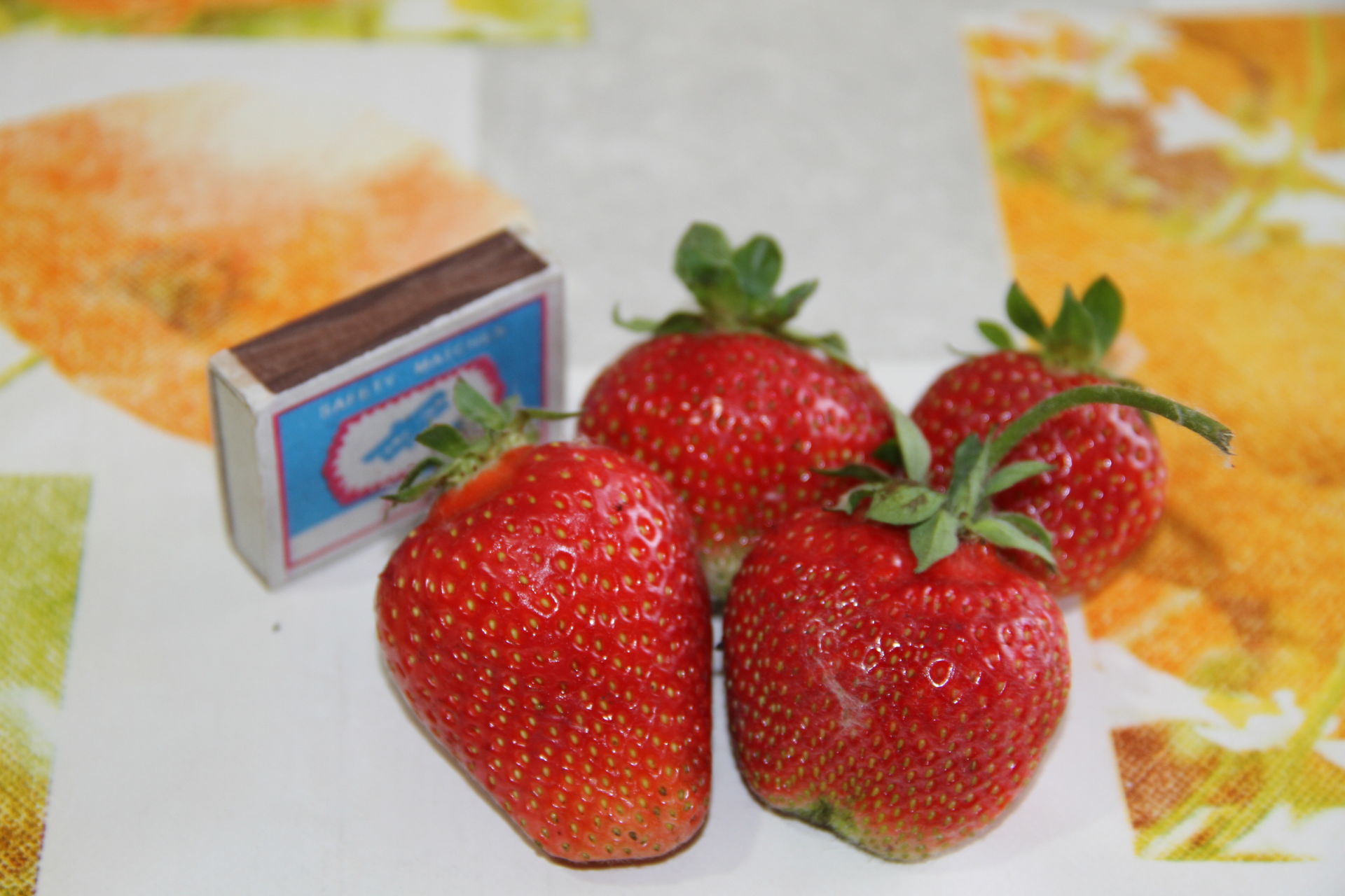 Вот это ягоды так ягоды в Мензелинском районе