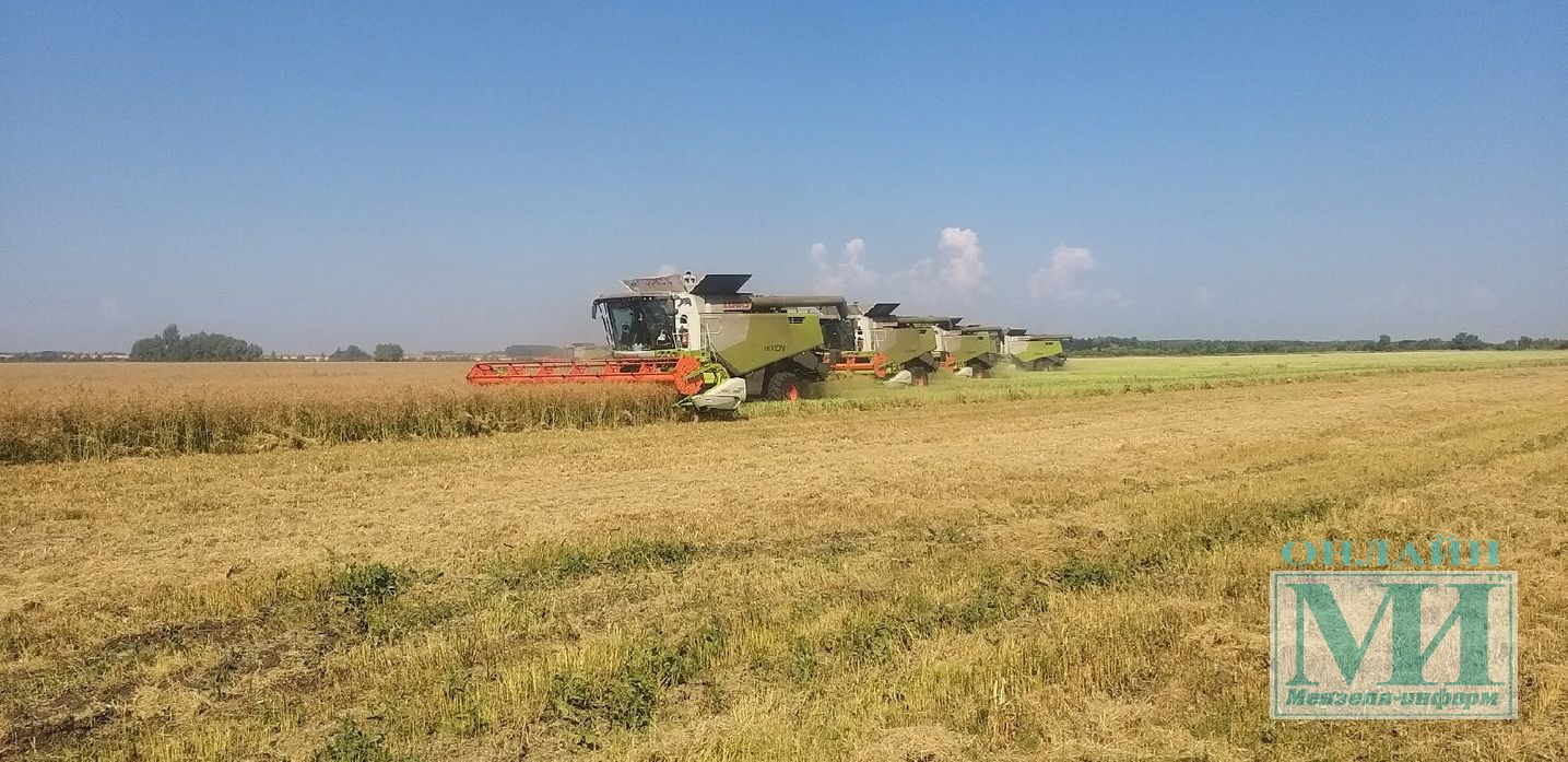 Хлеборобы хозяйства «Калмурзино» завершили обмолот зерновых культур