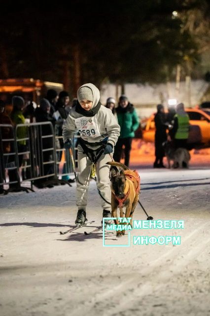 Спортсменка из Мензелинска Валерия Пузынина со своим питомцем Фурией заняли 1 место на гонках с собаками