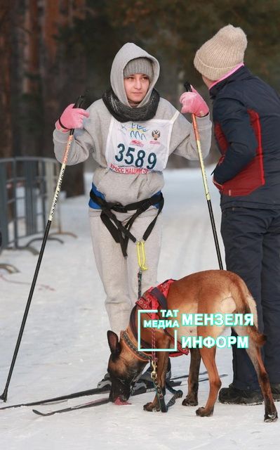 Спортсменка из Мензелинска Валерия Пузынина со своим питомцем Фурией заняли 1 место на гонках с собаками