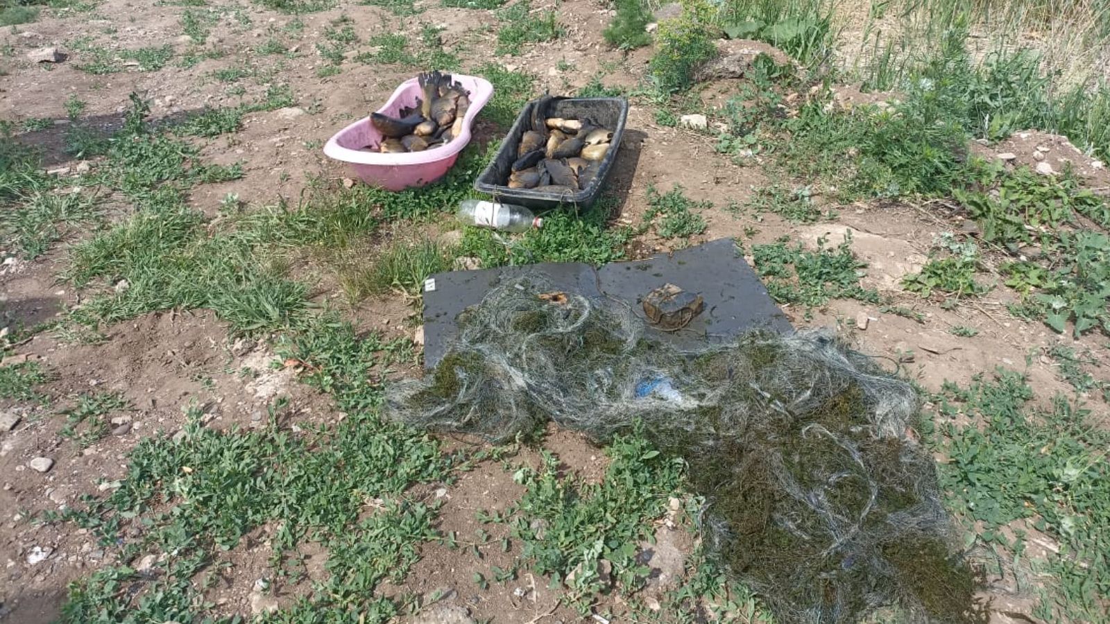 В Мензелинском районе поймали браконьеров