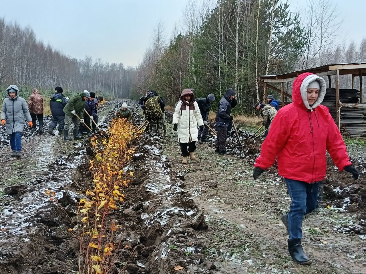 На территории питомника состоялся субботник