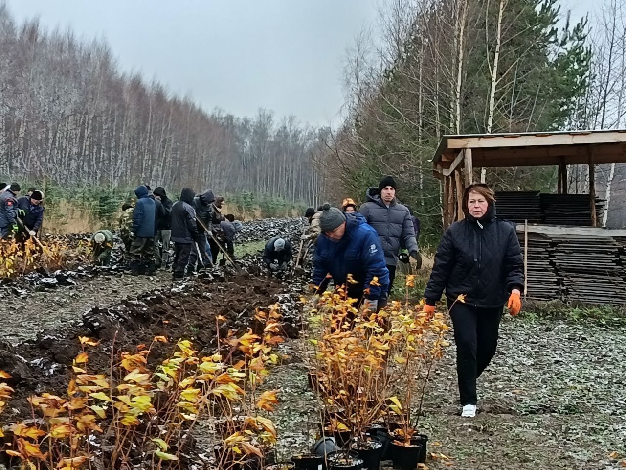 На территории питомника состоялся субботник