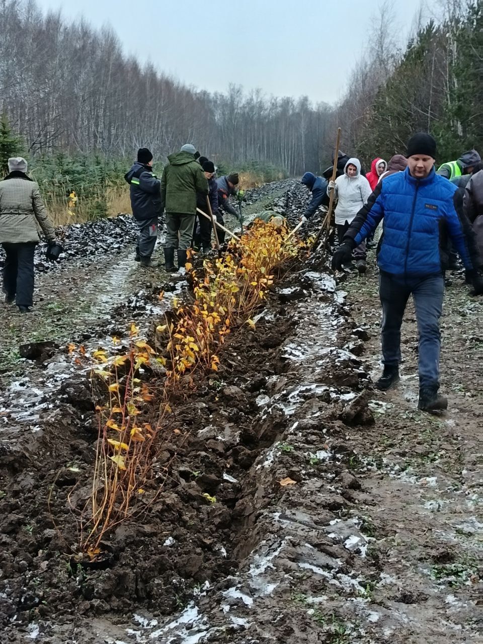 На территории питомника состоялся субботник
