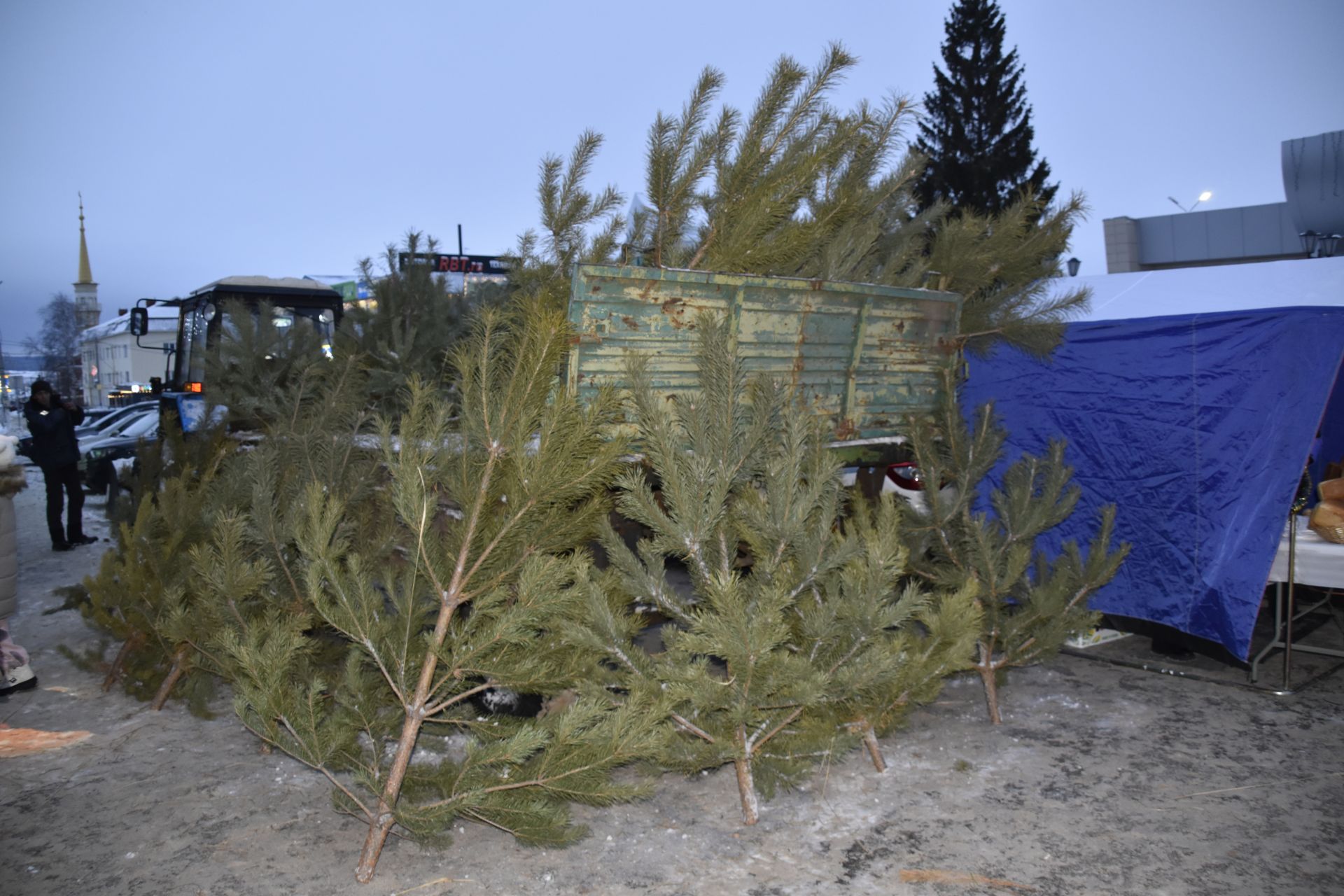 В Мензелинском районе полным ходом проводится оперативно-профилактическое мероприятие «Ель»