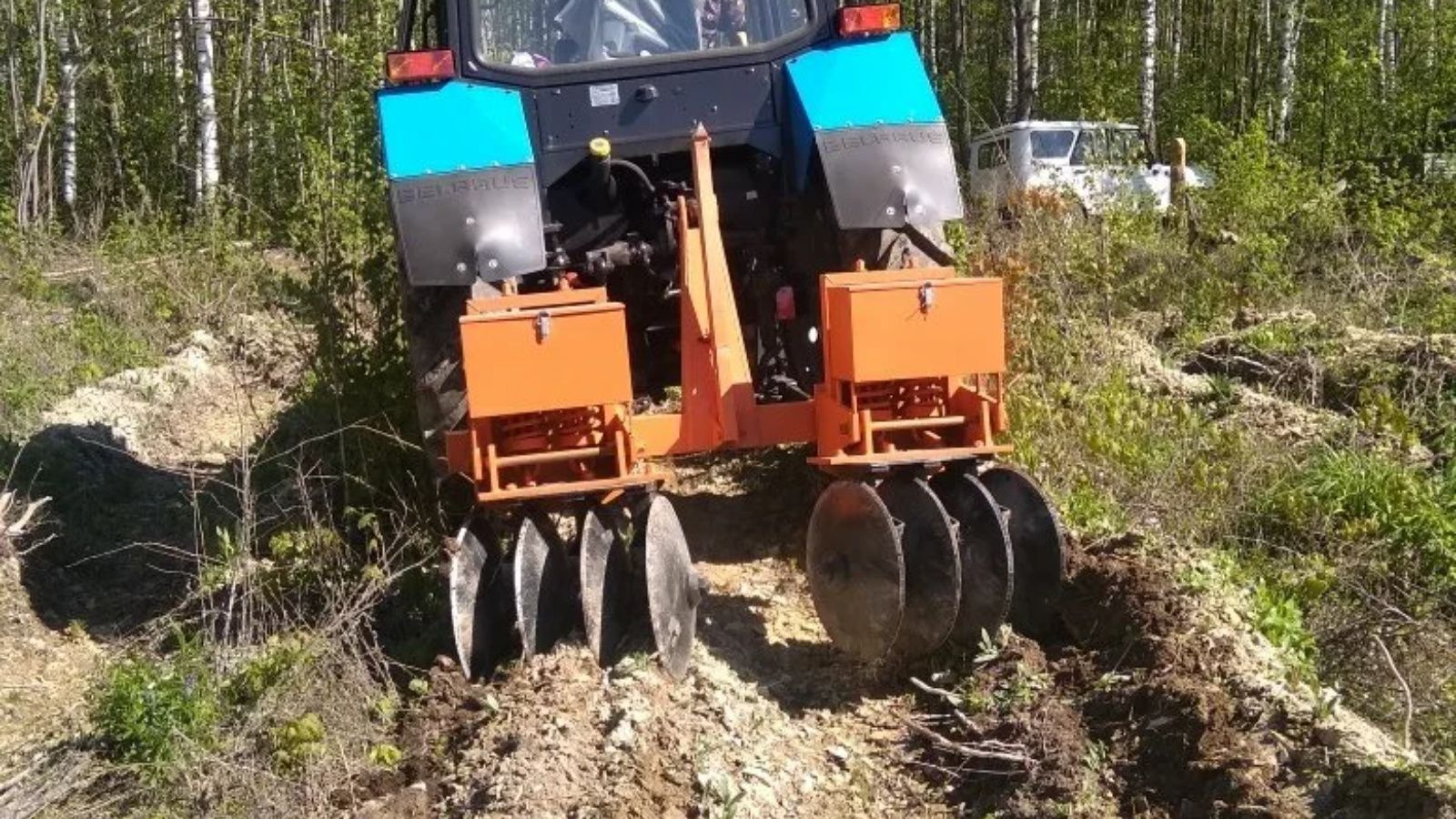В Татарстане проведены агротехнические мероприятия по уходу за лесными культурами на площади 11,3 тысячи гектаров