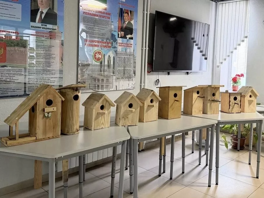 Юнармейцы первой школы подарили птицам новые домики