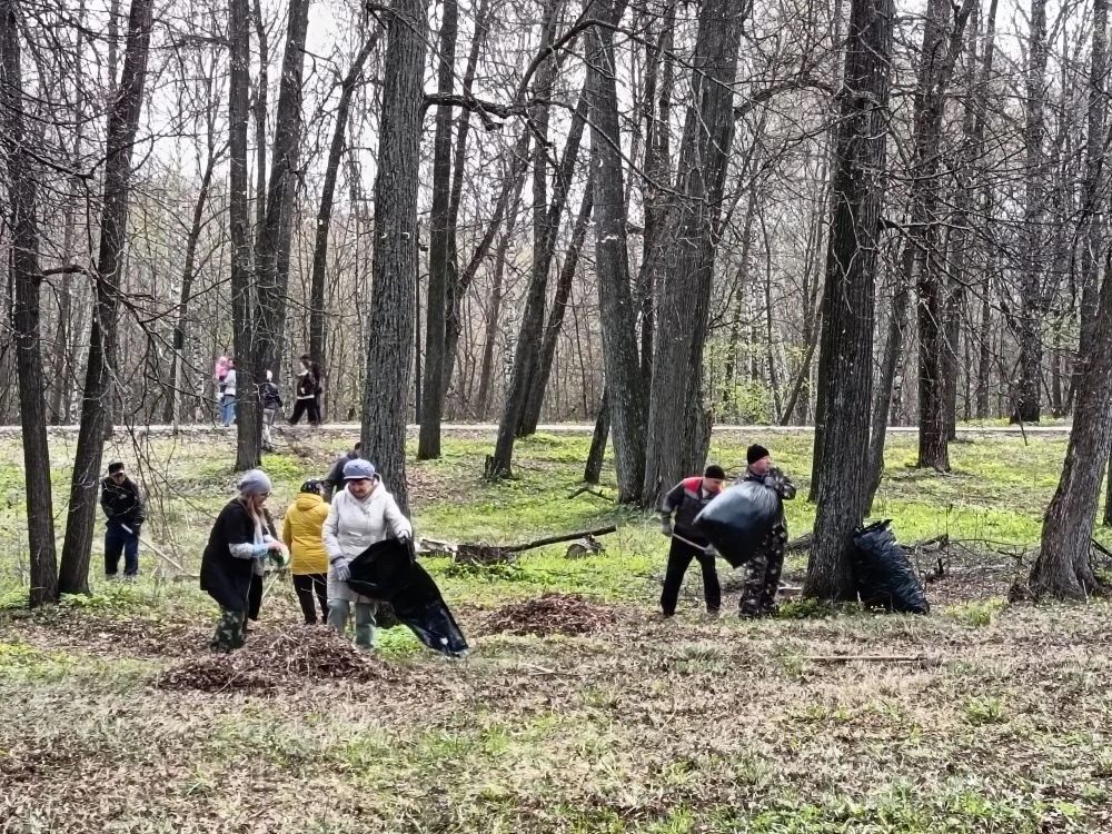 Мензелинцы встретили Первомай созидательным трудом: общегородской субботник объединил жителей