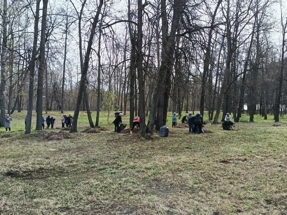 Мензелинцы встретили Первомай созидательным трудом: общегородской субботник объединил жителей