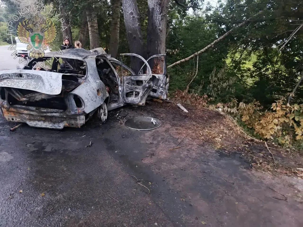 В Зеленодольске произошло смертельное ДТП с шестью погибшими