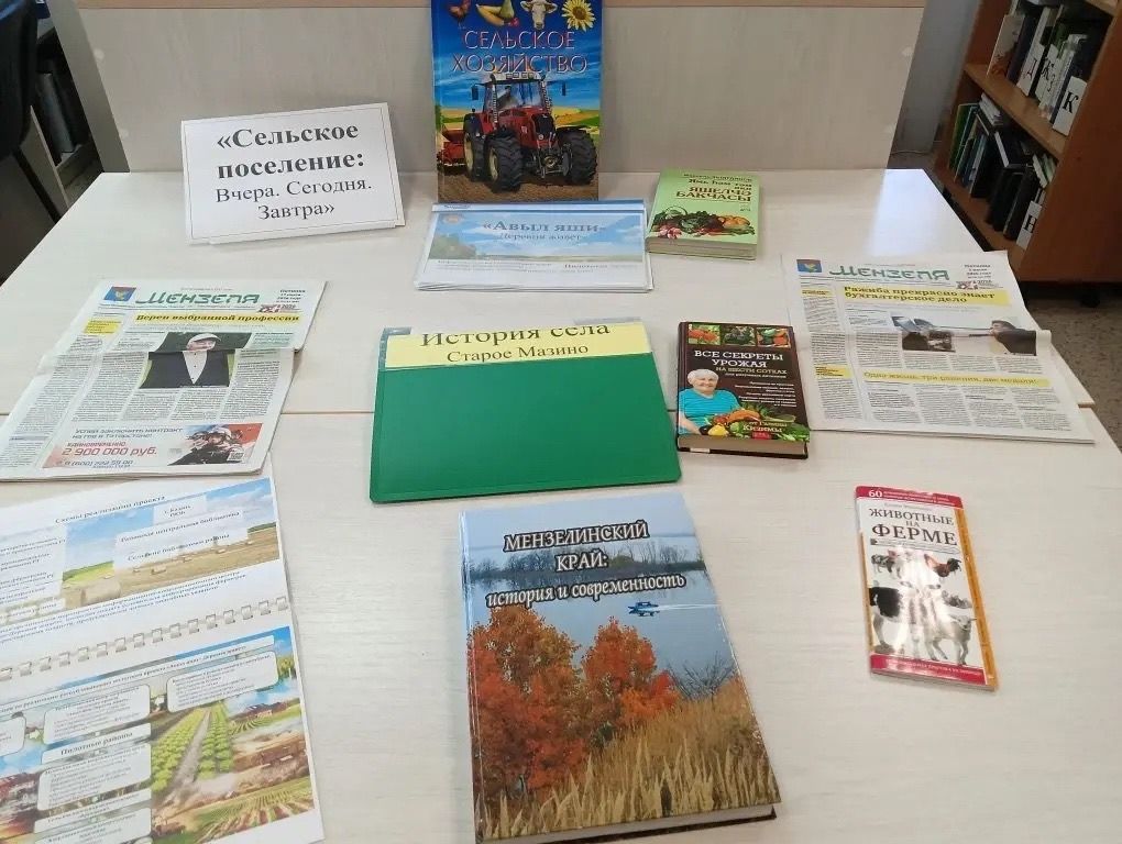 В селе Старое Мазино читателей ознакомили с историей малой родины