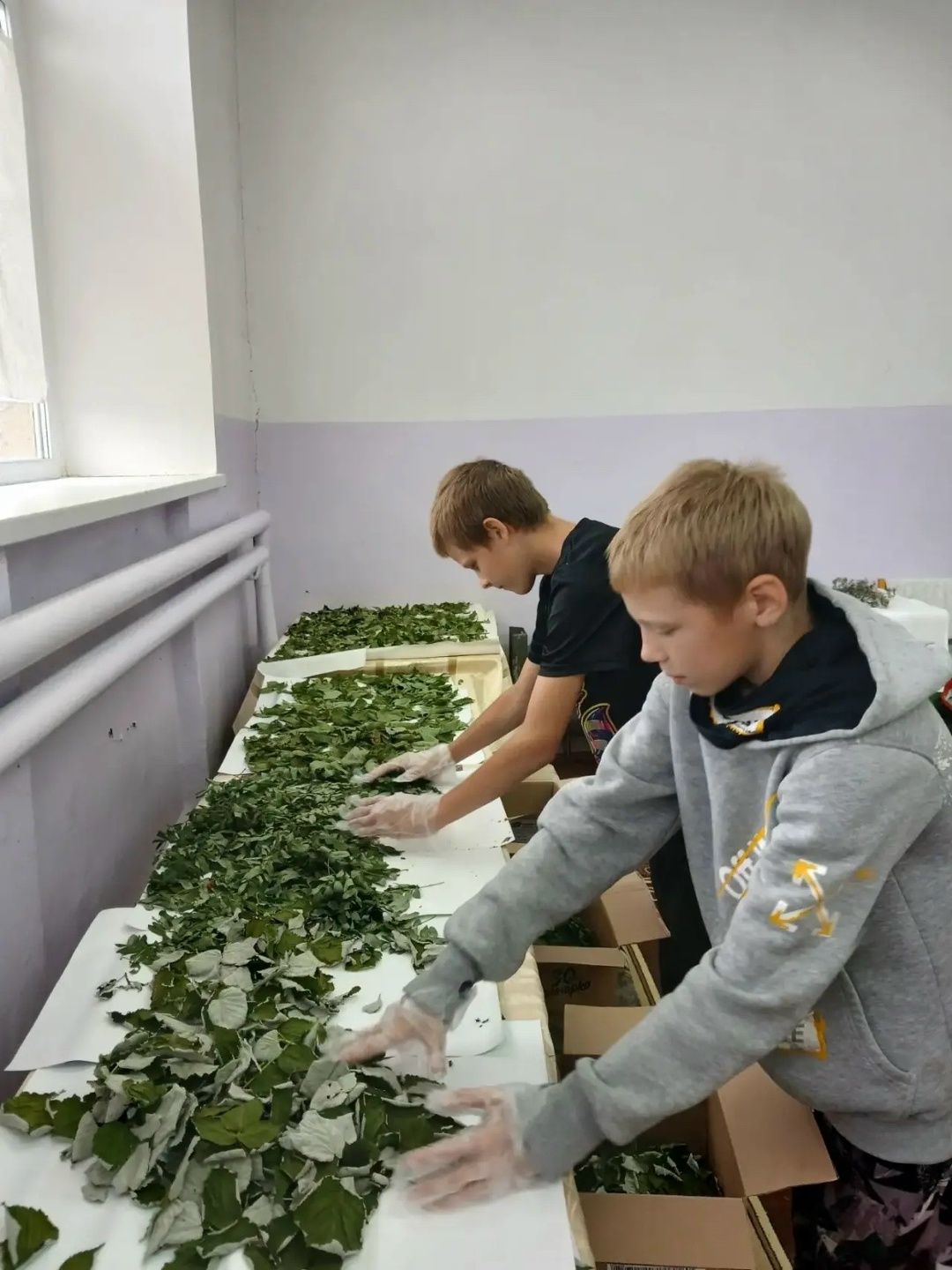 Мензелинцы собрали душистые травы для участников СВО