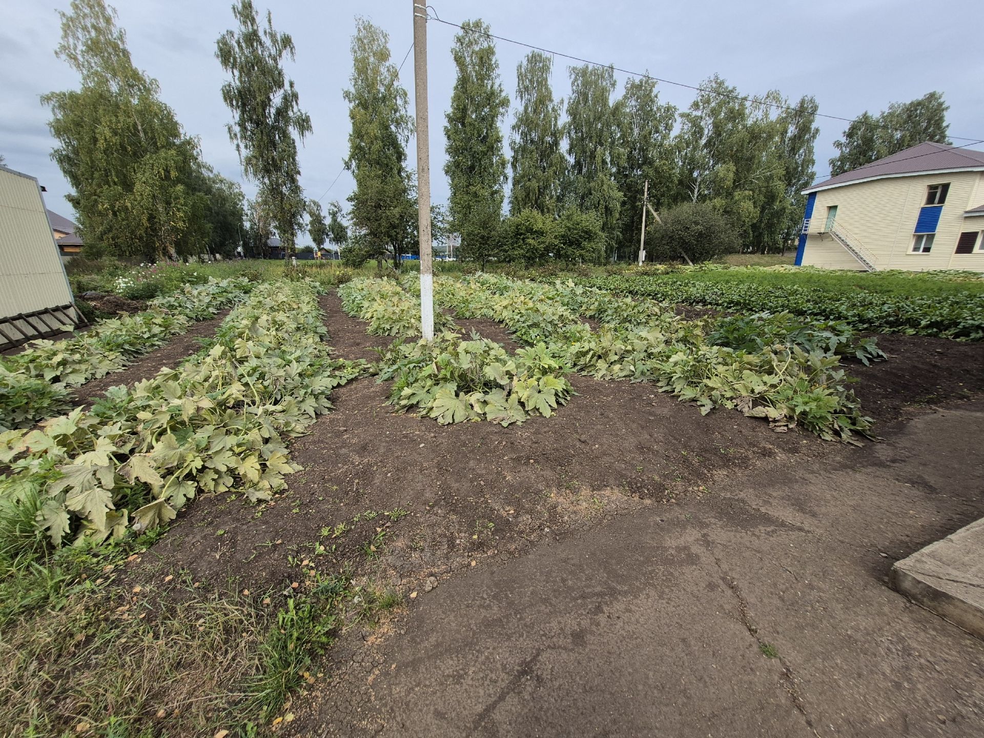 Минзәлә районы авылларындагы демография үзенчәлекләре
