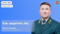 Прямой эфир с министром лесного хозяйства РТ: актуальные вопросы защиты лесов