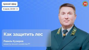 Прямой эфир с министром лесного хозяйства РТ: актуальные вопросы защиты лесов