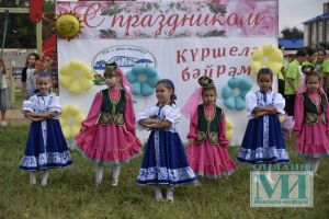 Руководители ТОС Мензелинска организовали заключительный летний праздник