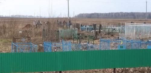 Погибшие в аварии возвращались в Бакчасарай