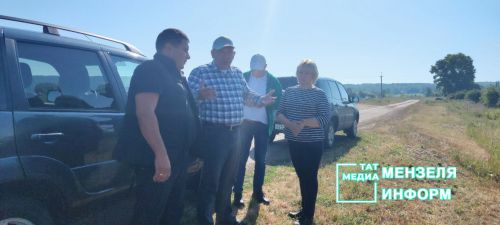 В Мензелинском районе есть поля, обещающие урожай