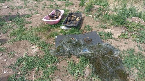 В Мензелинском районе поймали браконьеров