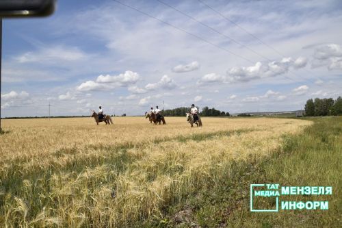 Татарские кони проскакали по Мензелинской земле