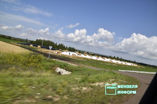 В Степановский комплекс начали завозить телят