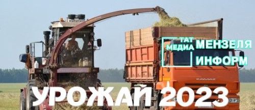 Минзәлә кырларында терлек азыгы хәзерләү дәвам итә