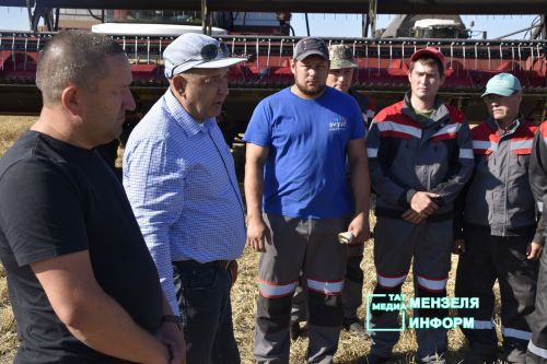 Мензелинские комбайнеры обмолачивают зерно на полях Азнакаева и Муслюмова
