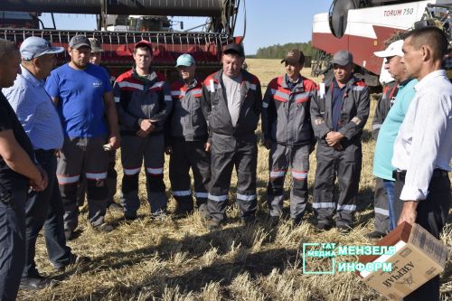 Мензелинские комбайнеры обмолачивают зерно на полях Азнакаева и Муслюмова