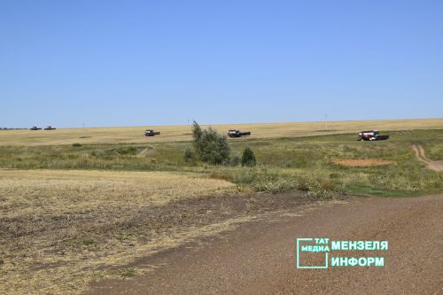Мензелинские комбайнеры обмолачивают зерно на полях Азнакаева и Муслюмова