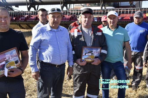 Мензелинские комбайнеры обмолачивают зерно на полях Азнакаева и Муслюмова
