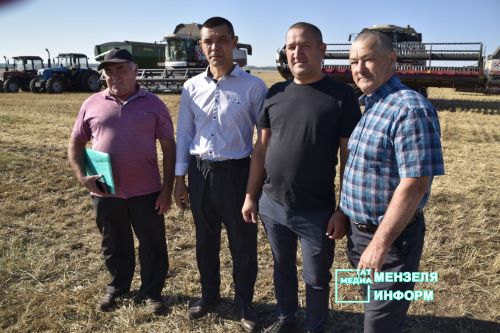 Мензелинские комбайнеры обмолачивают зерно на полях Азнакаева и Муслюмова