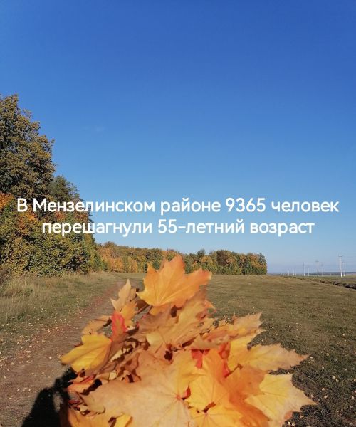 Треть населения Мензелинского района составляют пожилые люди