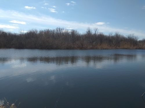В Мензелинском районе на раколова завели уголовное дело