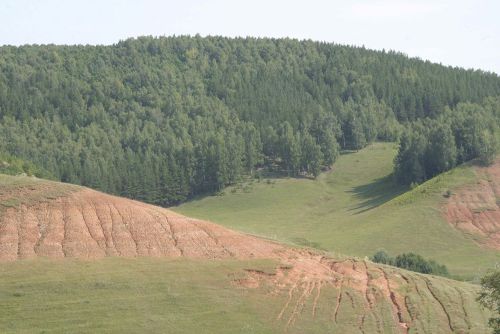 География Мензелинского района: цифры и факты