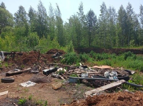 Суд обязал исполком Мензелинска ликвидировать незаконную свалку