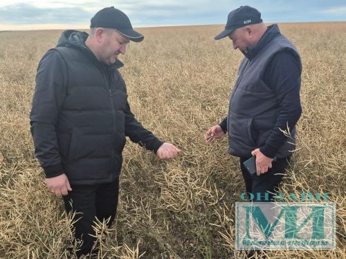 Фоторепортаж из осенних полей Мензелинска