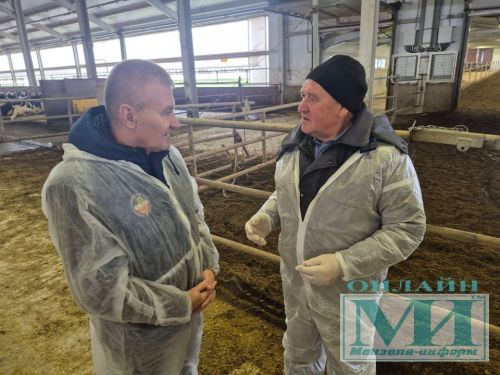 На страже здоровья стада: комплексный подход мензелинских ветеринаров