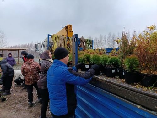 На территории питомника состоялся субботник