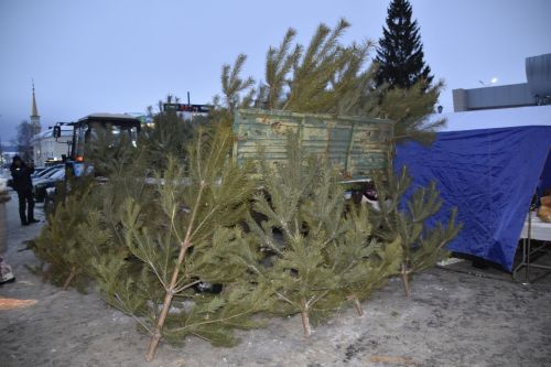 В Мензелинском районе полным ходом проводится оперативно-профилактическое мероприятие «Ель»