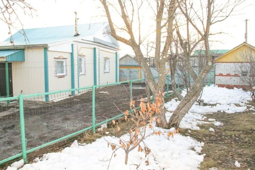 Вазелином можно защитить деревья от вредителей